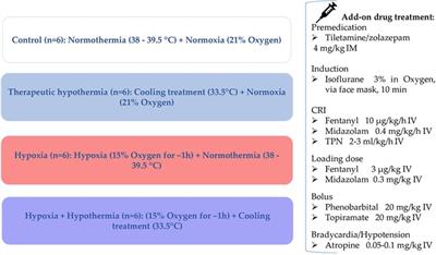 Development of a neonatal Göttingen Minipig model for dose precision in perinatal asphyxia: technical opportunities, challenges, and potential further steps